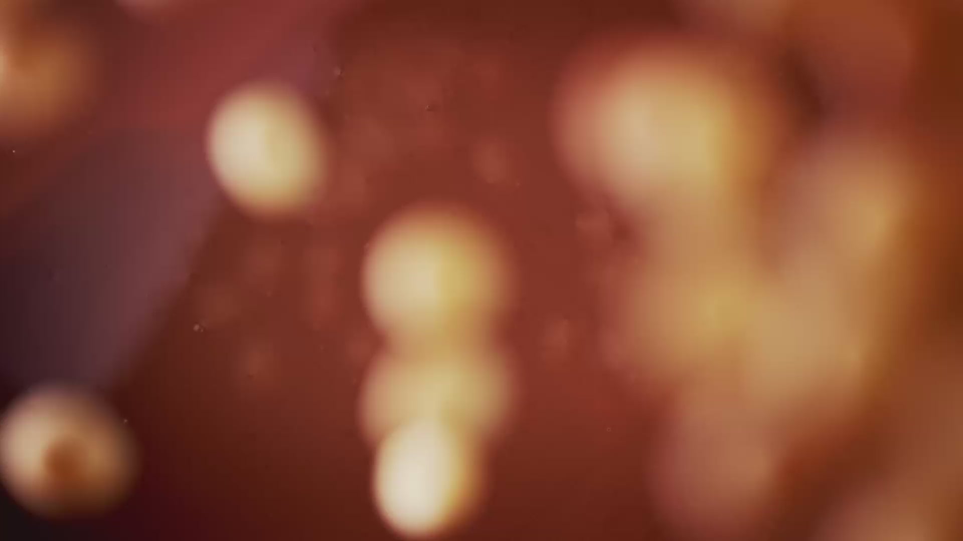 Load video: new chocolate creations at the chocolaterie